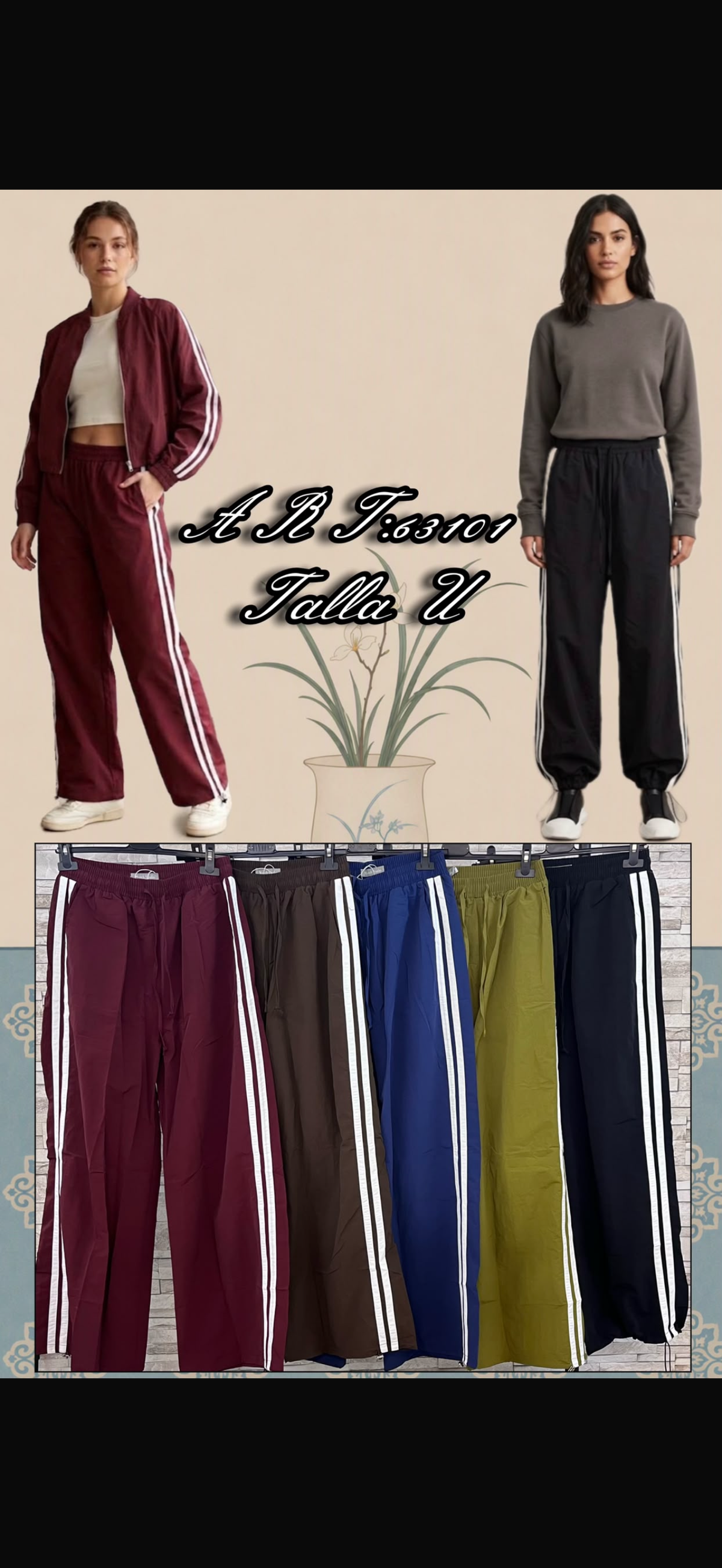 Conjunto anais