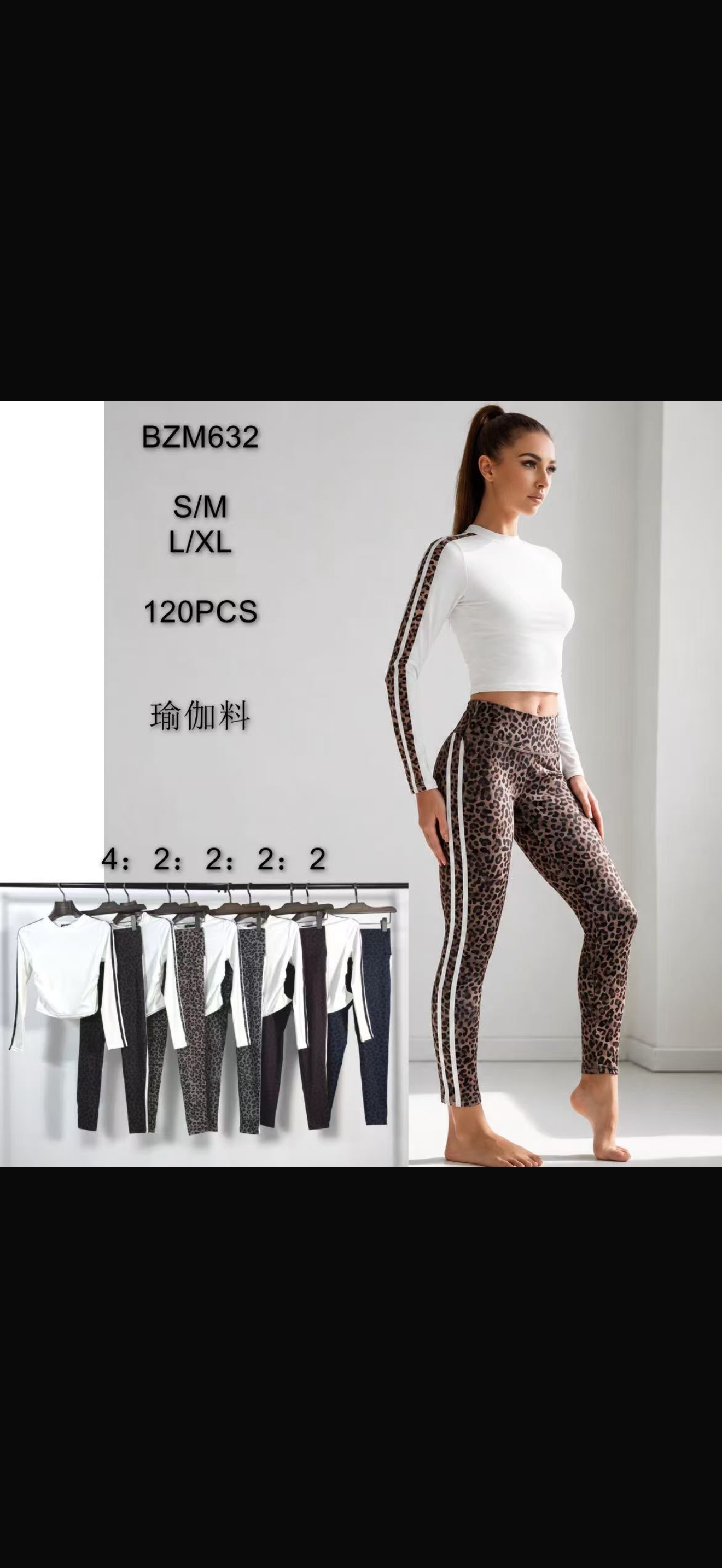 Conjunto stefani