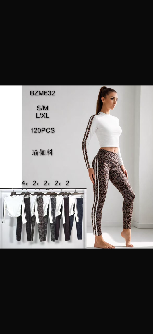 Conjunto stefani